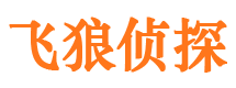 江海市私人调查